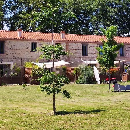 Les Appartements Du Mas Riols Saint-Cyprien  Eksteriør billede