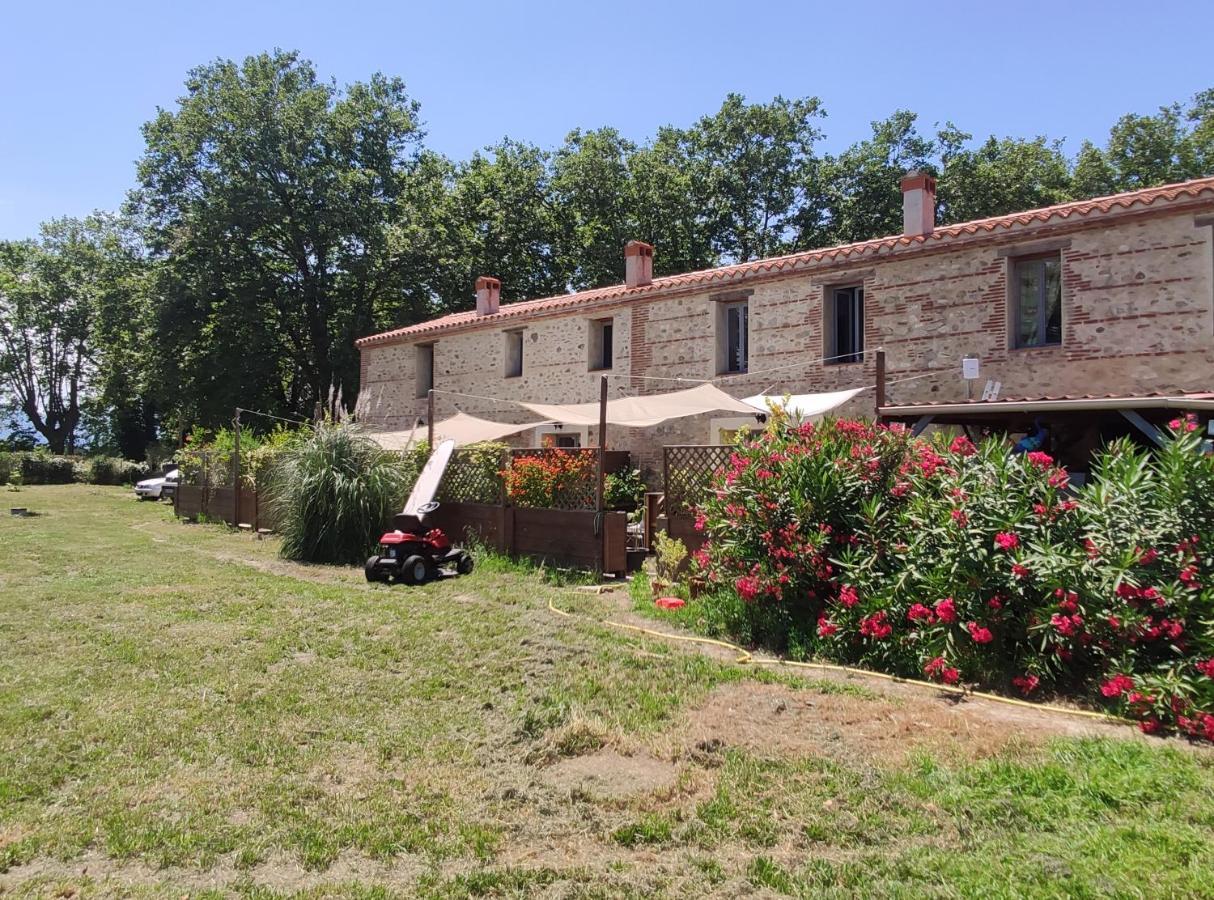 Les Appartements Du Mas Riols Saint-Cyprien  Eksteriør billede