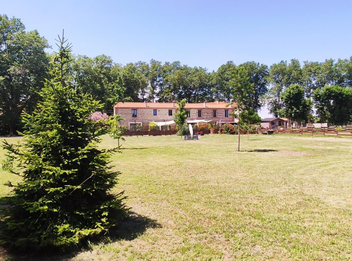 Les Appartements Du Mas Riols Saint-Cyprien  Eksteriør billede